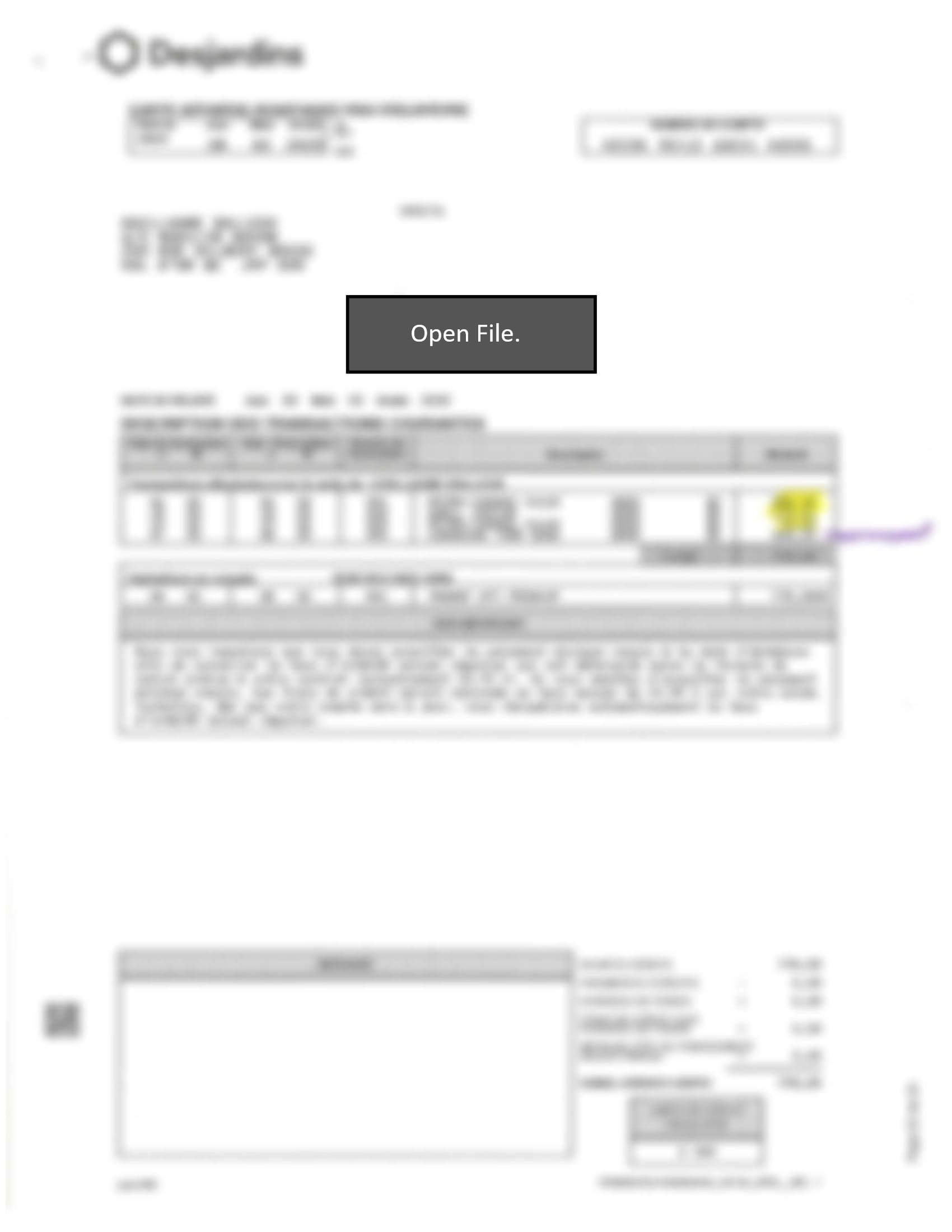 Document
